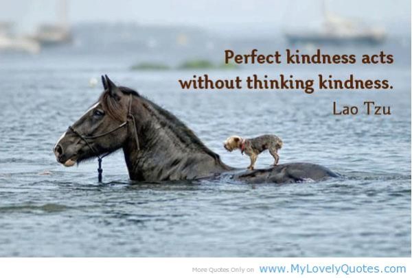 perfect kindness